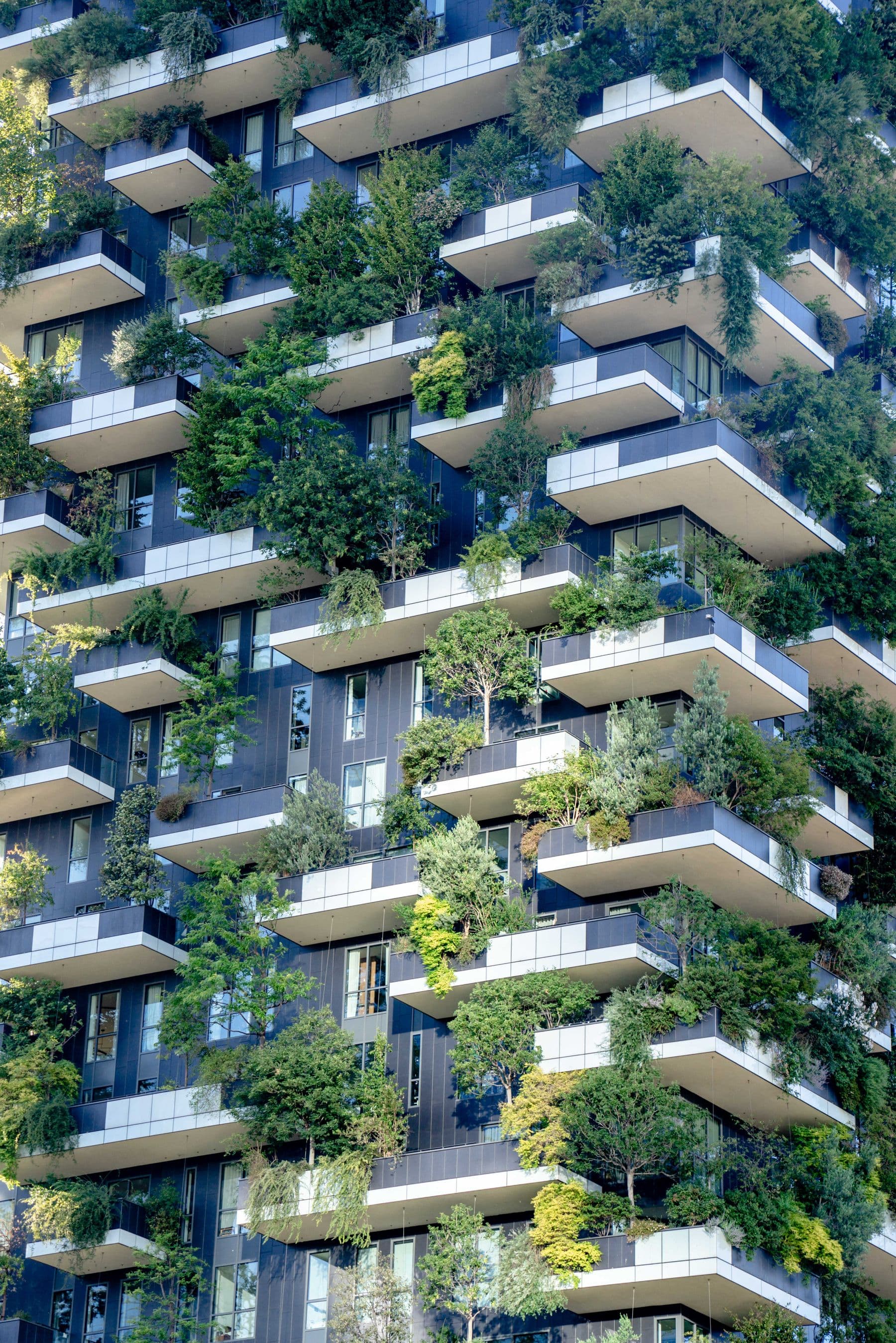 Apartment balconies planted as a vertical garden