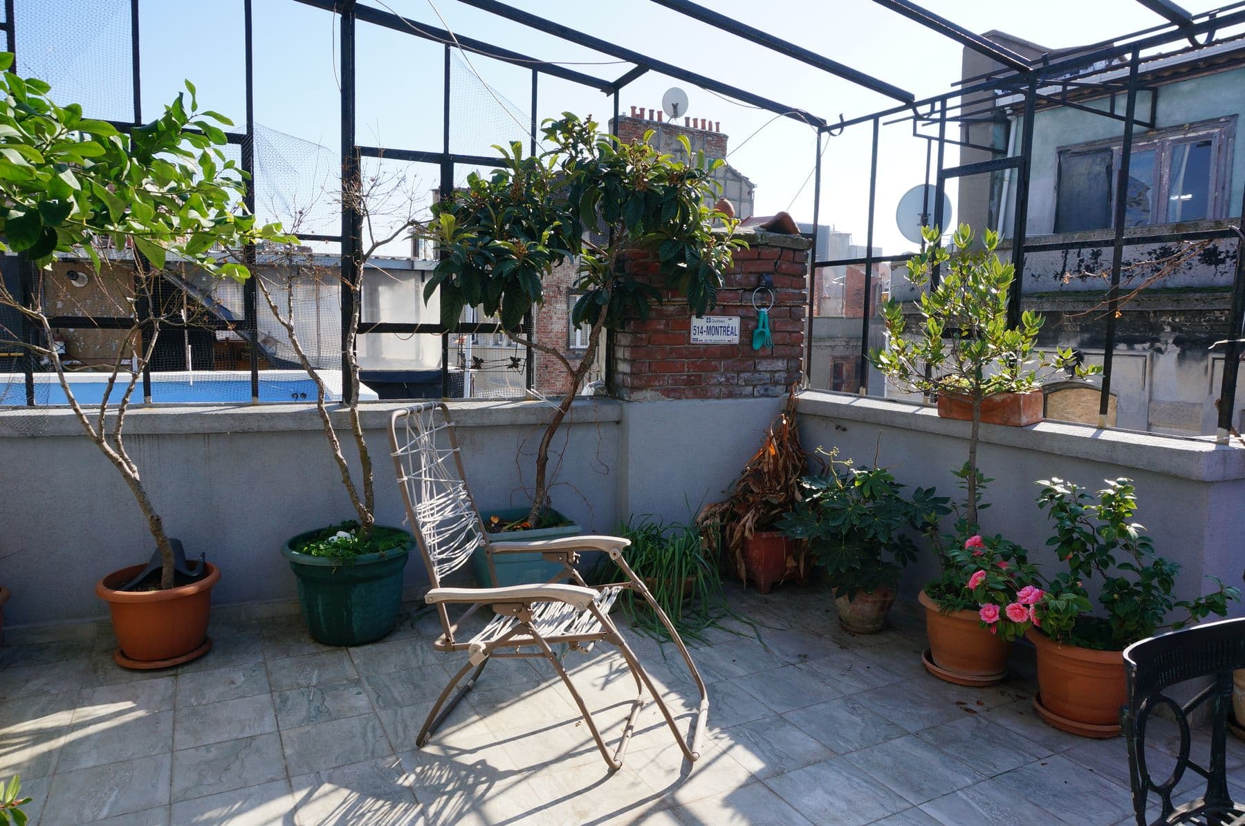 Rooftop terrace with potted trees and seating