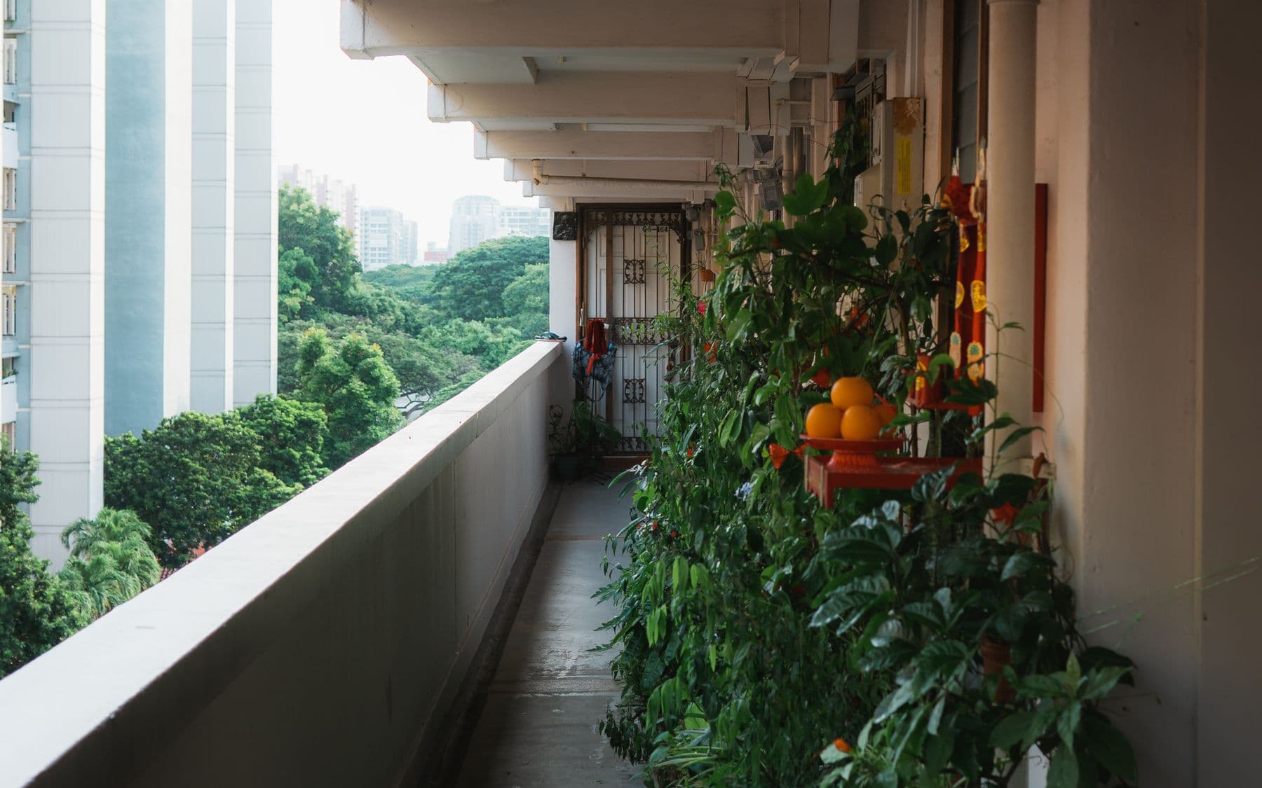 Apartment corridor balcony with potted planting