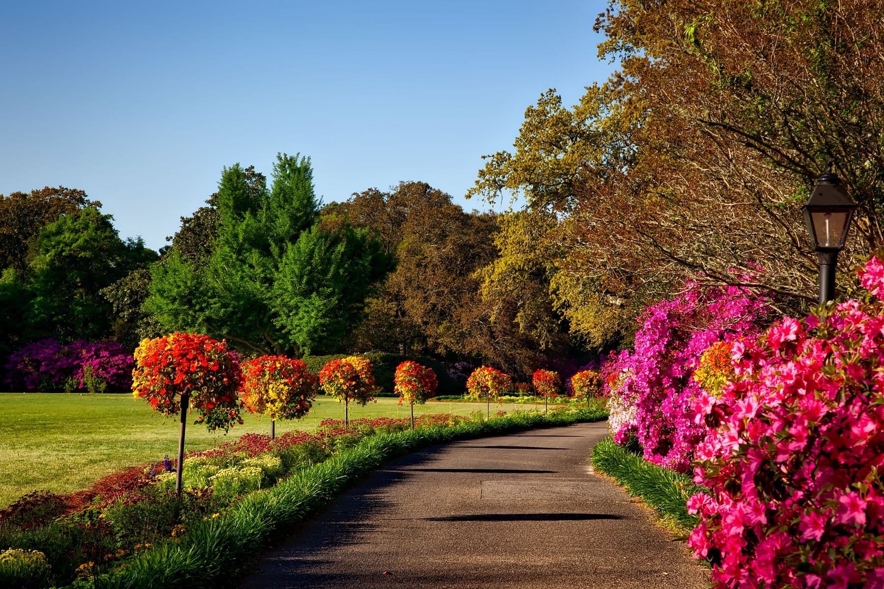 Estate garden path with flowering beds and lawn