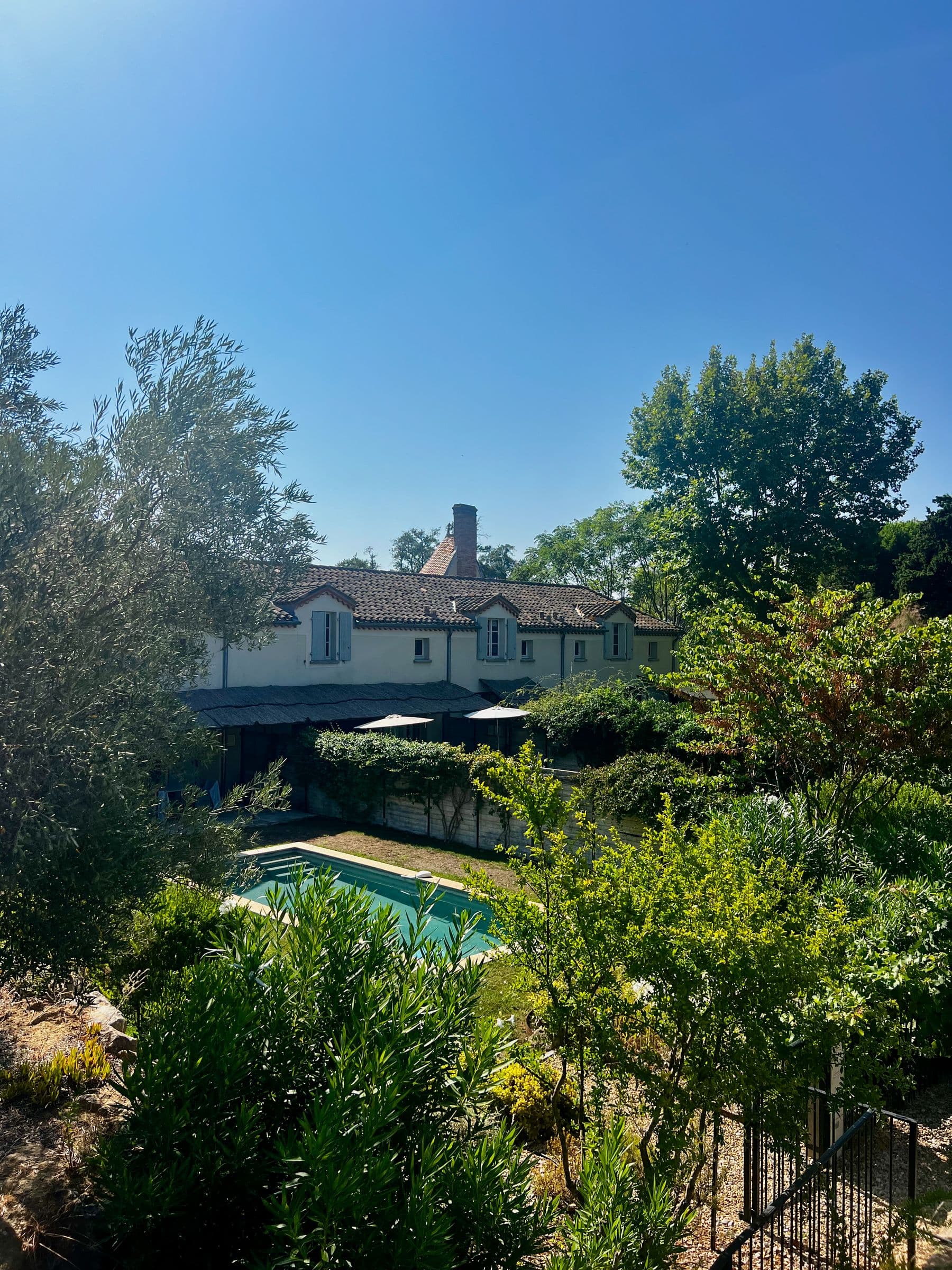 Villa garden with pool and olive planting